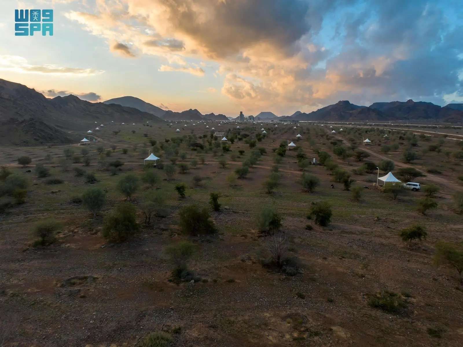 مبادرة تنمية الغطاء النباتي