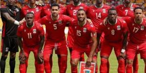 منتخب غينيا يفوز على الكونغو الديمقراطية بهدف نظيف في تصفيات أمم إفريقيا