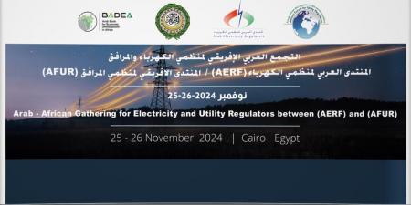 الاثنين..انطلاق فعاليات مؤتمر منظمي الطاقة 2024 بالجامعة العربية