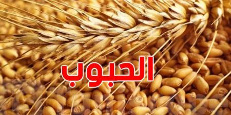 ديوان الحبوب يطرح مناقصة لشراء 200 ألف طن من القمح اللين والصلب