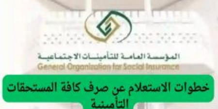 كيفية الاستعلام عن صرف المستحقات التأمينية بعد الاستقالة: خطوات وشروط