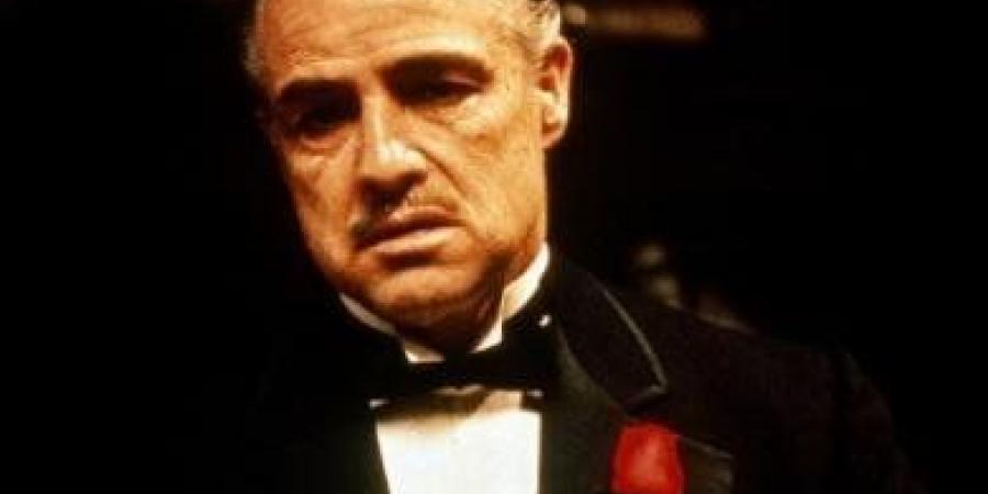 19:53
مشاهير عالمية

قطة "The godfather" .. إضافة غير مخطط لها جعلت المشهد أيقونيًا