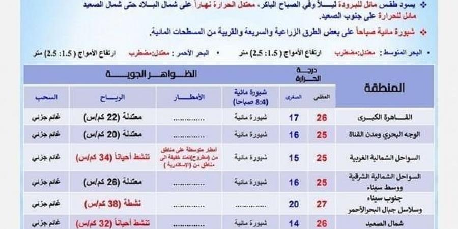 مائل للبرودة ليلا معتدل نهارا.. الأرصاد تكشف حالة الطقس خلال الأيام المقبلة