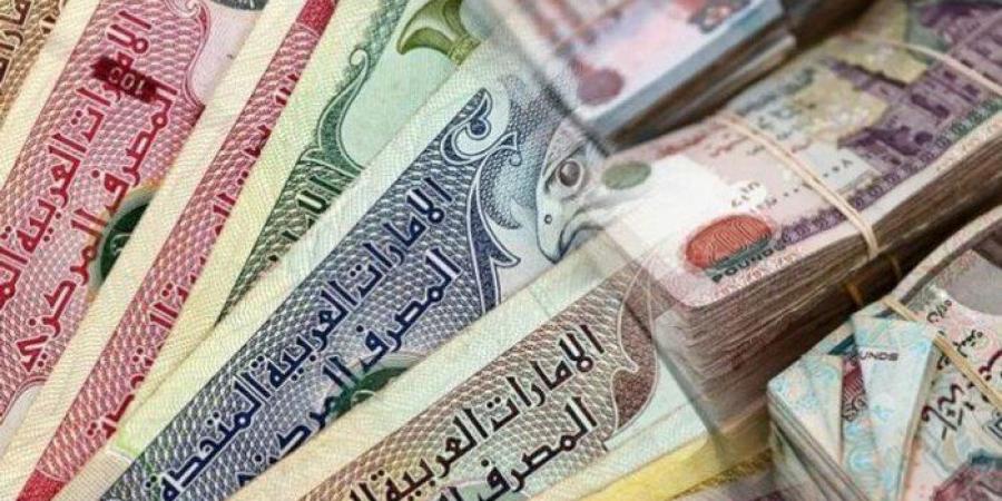 سعر الدرهم الإماراتي اليوم الجمعة 15-11-2024 في البنوك المصرية