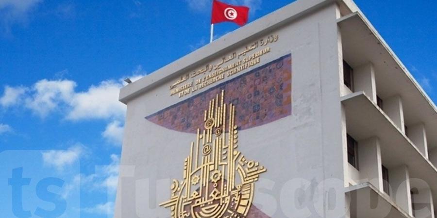 وزارة التعليم العالي تضع خطة شاملة لتحسين التكوين الجامعي وتمكين الطلاب من فرص العمل