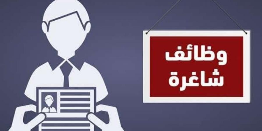 وظائف وزارة التضامن الاجتماعي 2024.. الشروط وآخر موعد للتقديم