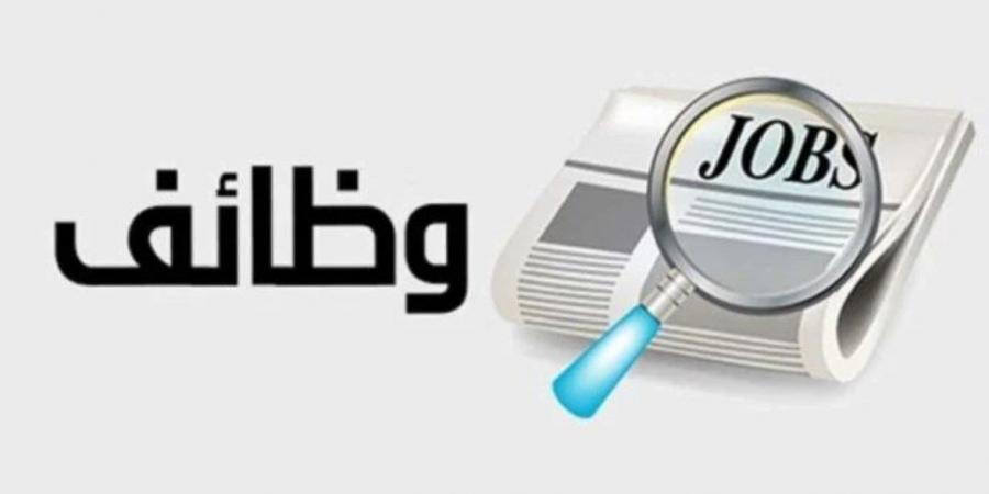 فرص عمل جديدة في خدمات الكهرباء بالمحافظات.. الشروط والمزايا