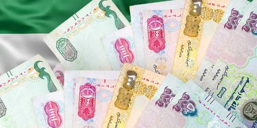 سعر الدرهم الإماراتي اليوم السبت 16-11-2024