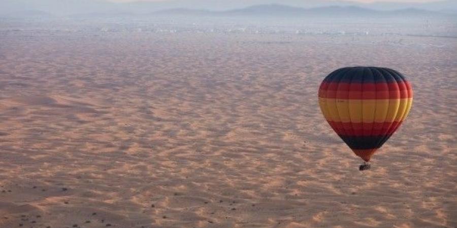 أماكن في مدينة أبوظبي لعُشاق الطبيعة الساحرة والحياة البرية