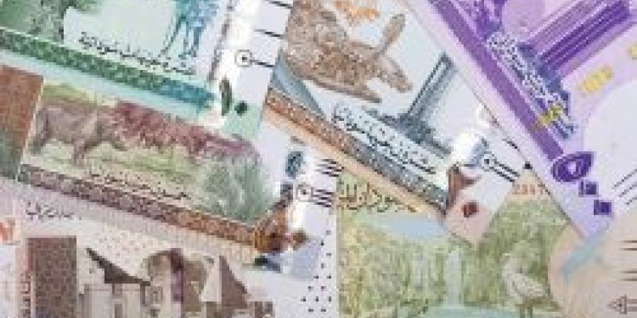 سعر الجنيه السوداني مقابل الريال السعودي اليوم الأحد 17 نوفمبر 2024