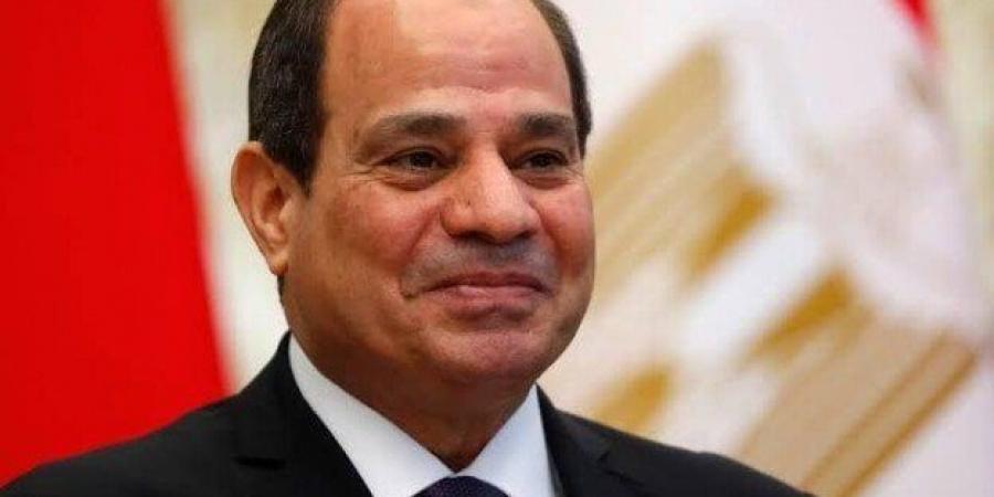 الرئيس السيسي يصل إلى البرازيل للمشاركة في قمة مجموعة العشرين