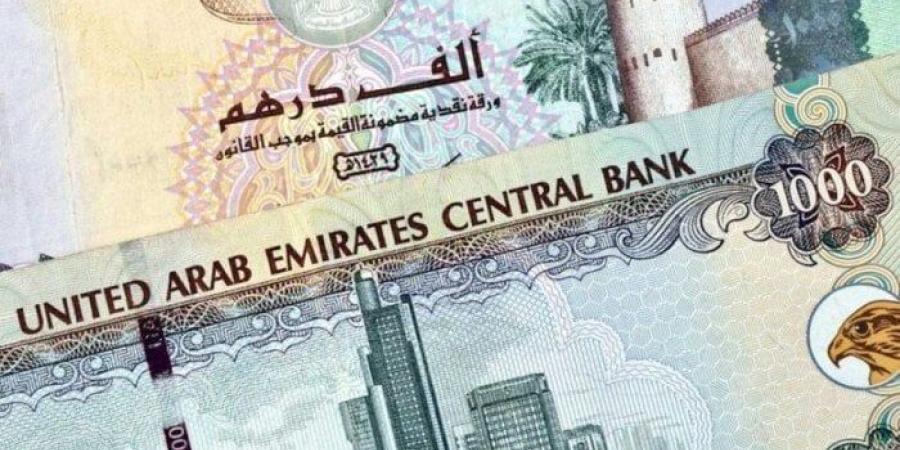 سعر الدرهم الإماراتي مقابل الجنيه المصري اليوم الإثنين 18 نوفمبر 2024