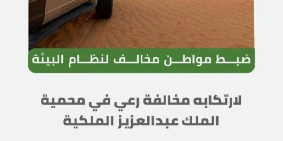 "الأمن البيئي" يضبط مواطنًا لارتكابه مخالفة رعي (50) متنًا من الإبل