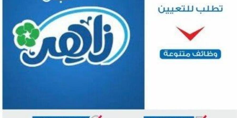 وظائف وزارة الشباب والرياضة.. التخصصات والشروط والمزايا