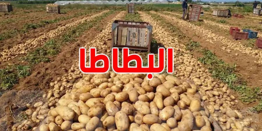 سوسة: التحقيق في شحنة بطاطا مورّدة من تركيا