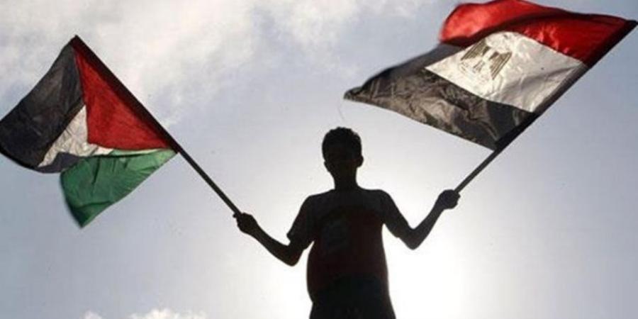 دعم مصري بلا حدود للقضية الفلسطينية.. تحركات دبلوماسية لوقف آلة الحرب الإسرائيلية في غزة