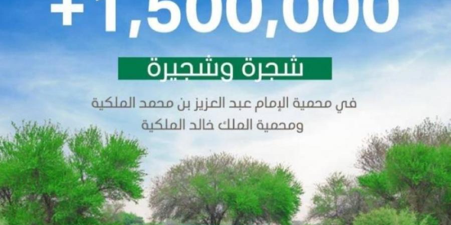 محمية الإمام عبدالعزيز بن محمد الملكية تحتفي بزراعة 1.5 مليون شجرة