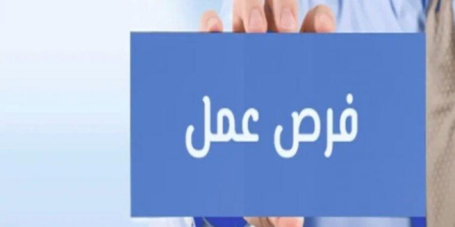 وظائف التضامن الاجتماعي.. المهام والشروط وكيفية التقديم