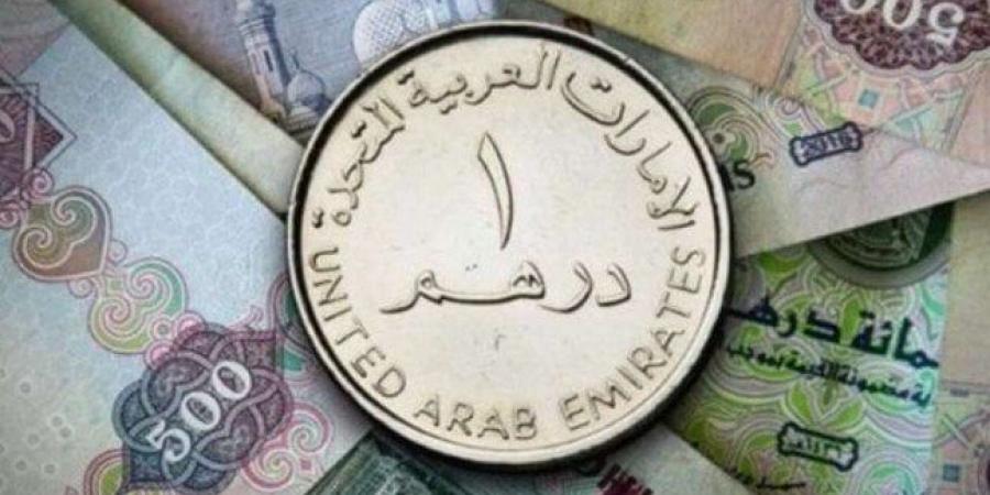 سعر الدرهم الإماراتي مقابل الجنيه المصري اليوم السبت 14 ديسمبر 2024