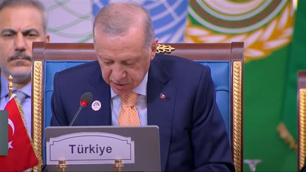 أردوغان: نثمن دور مصر في دعم برامج الشباب لتمكينهم اقتصاديا