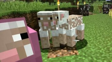 أشياء أساسية يجب على الجميع بناؤها أولاً في Minecraft – الجزء الخامس – سعودي جيمر