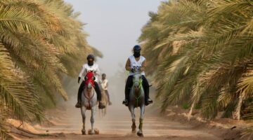 230 فارسًا وفارسة يتنافسون على كأس التحدّي للقدرة والتحمل بالرياض