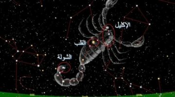 المسند: الشتاء يطرق الأبواب.. وغداً الانقلاب الشتوي وانتهاء فصل الخريف