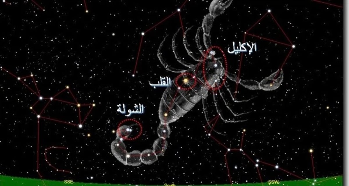 المسند: الشتاء يطرق الأبواب.. وغداً الانقلاب الشتوي وانتهاء فصل الخريف